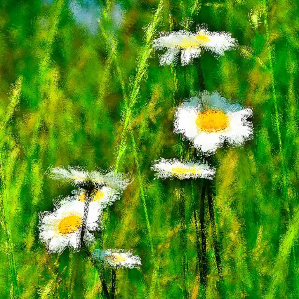 Daisies on the Green