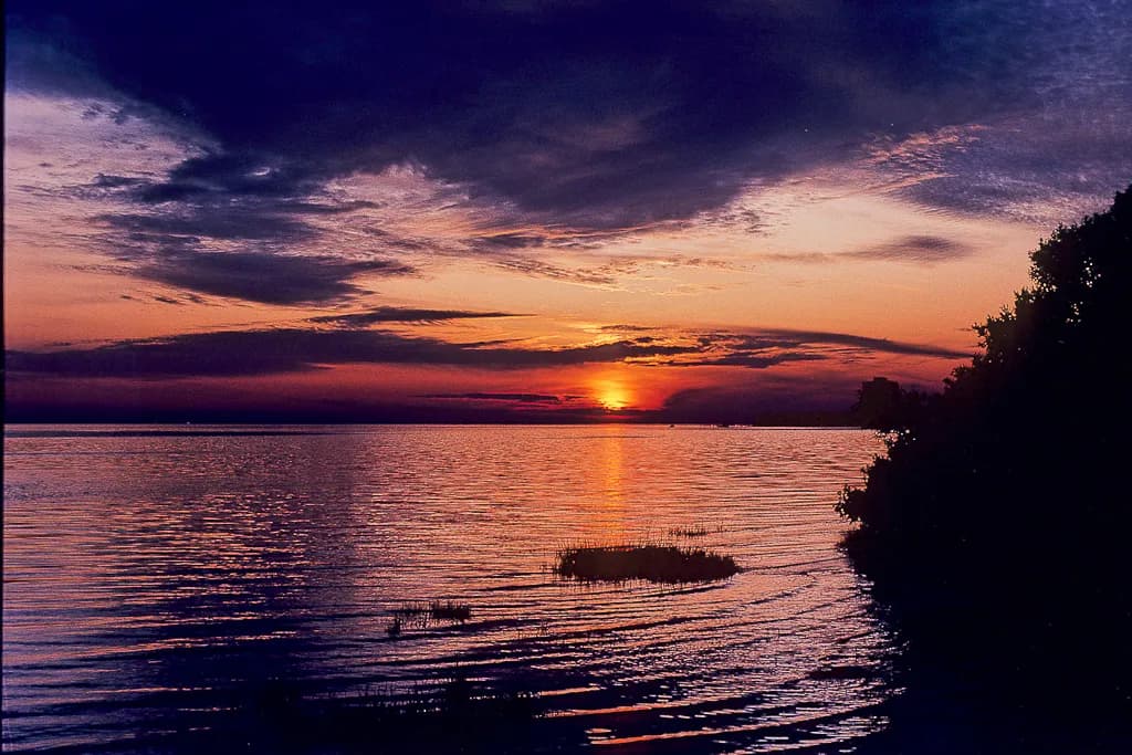 Tampa Sunset