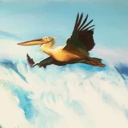 Pelican Flight
