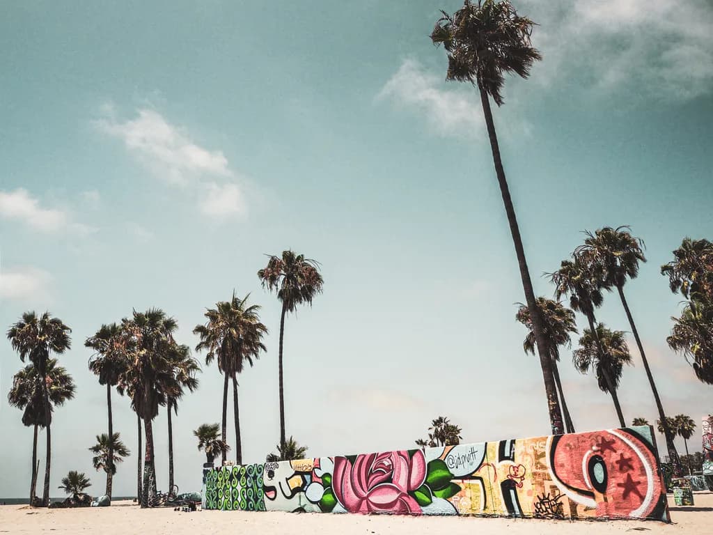 Tropical Graffiti Scene