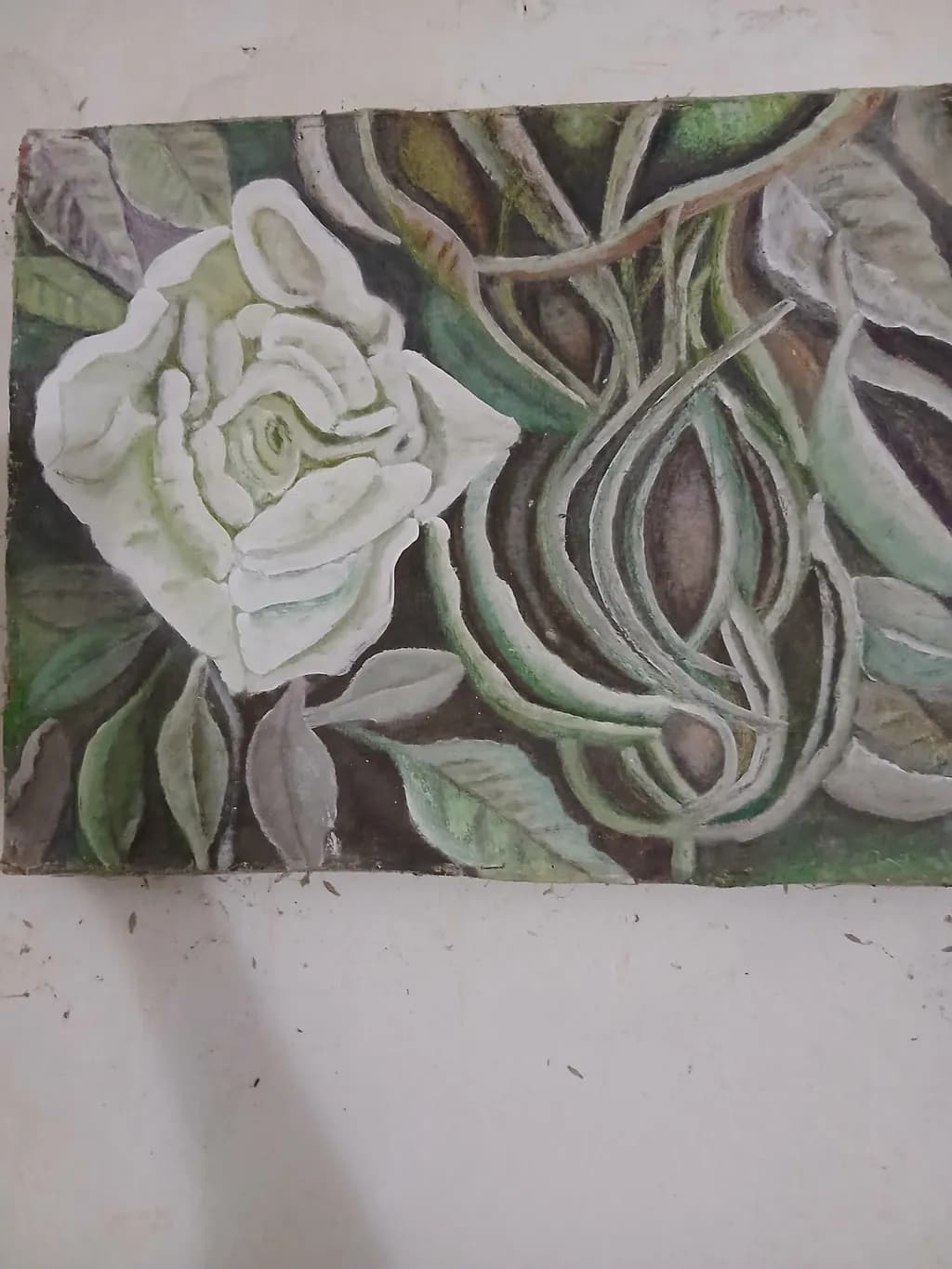 Rose and Vines