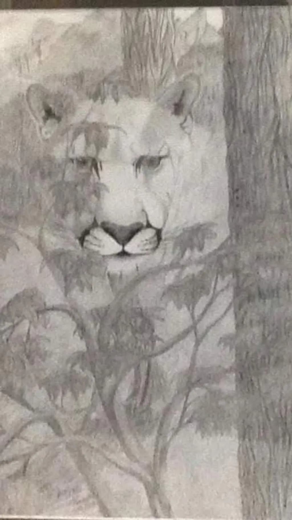Lion's Embrace