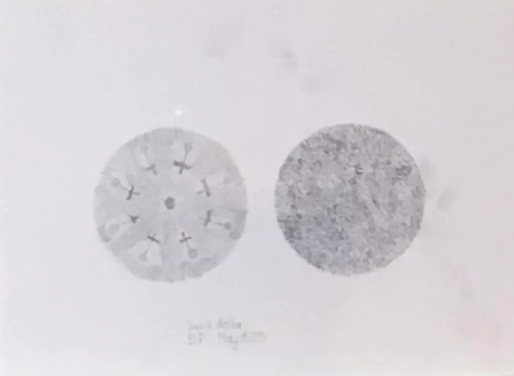 Contrast in Circles