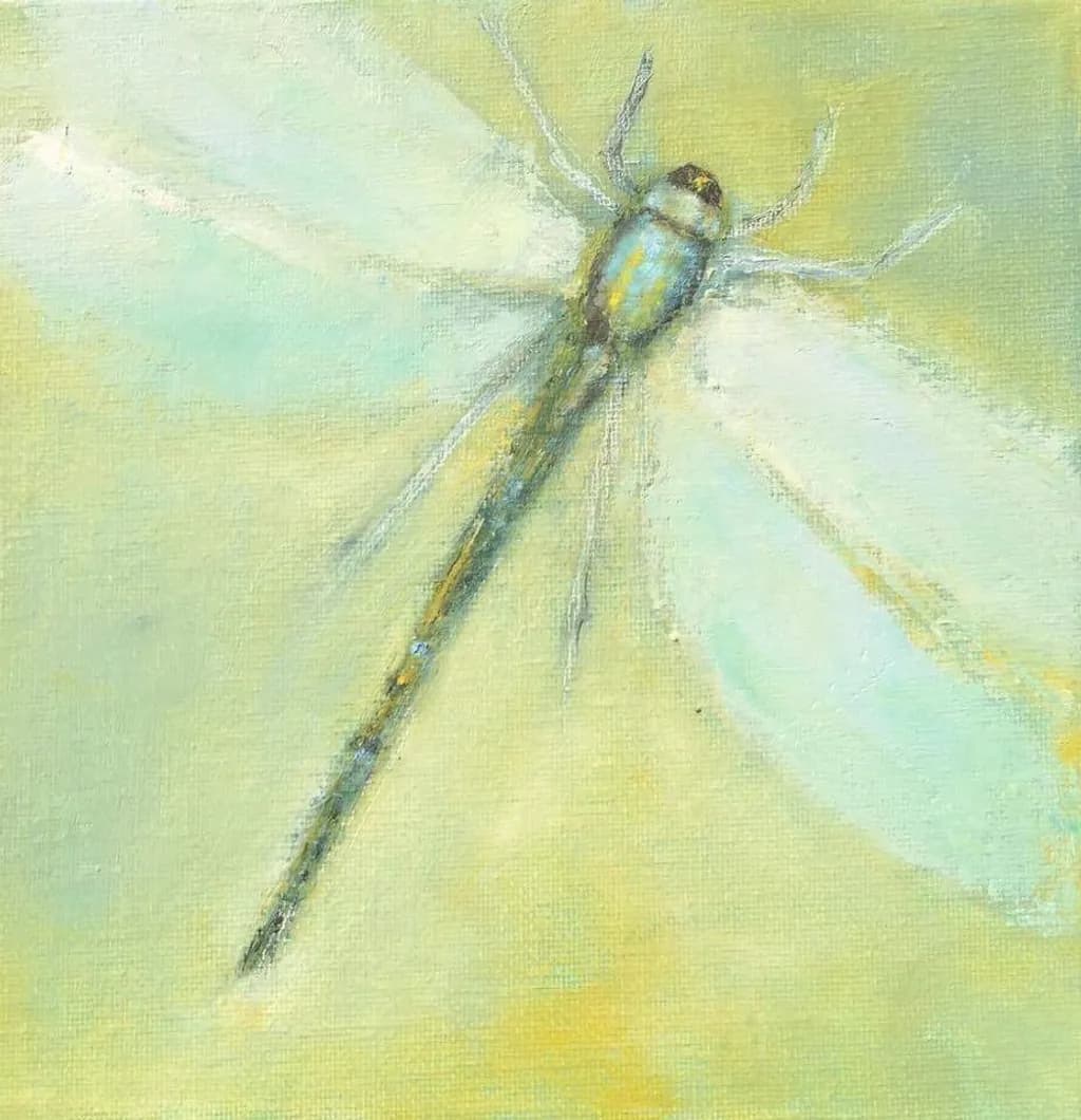 Delicate Dragonfly