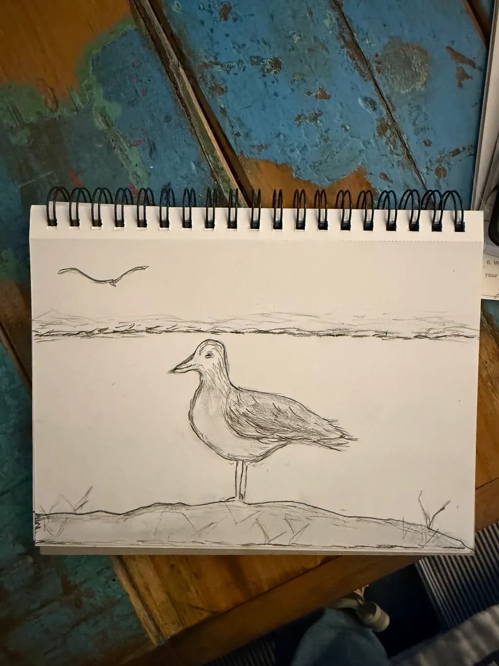 Solitary Shorebird
