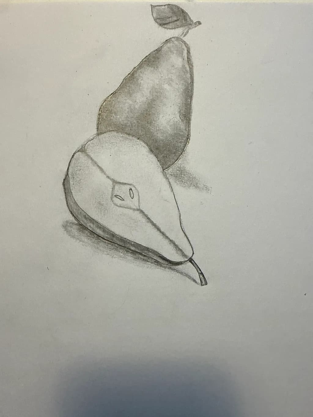 Monochrome Pear Sketch