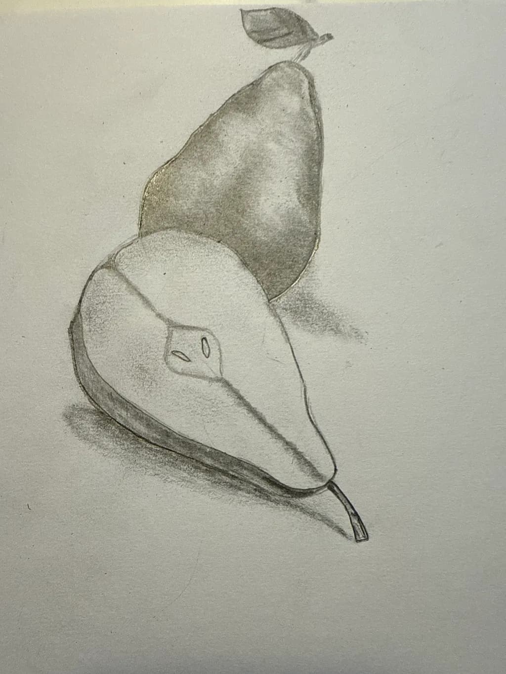 Pears in Sketch