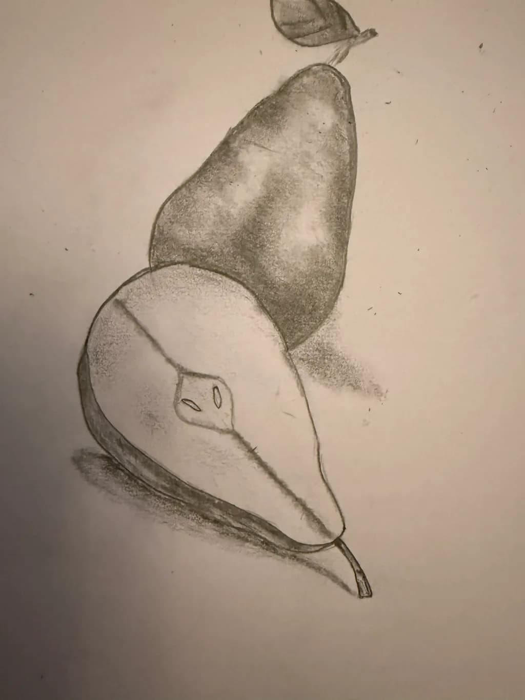 Pear Study