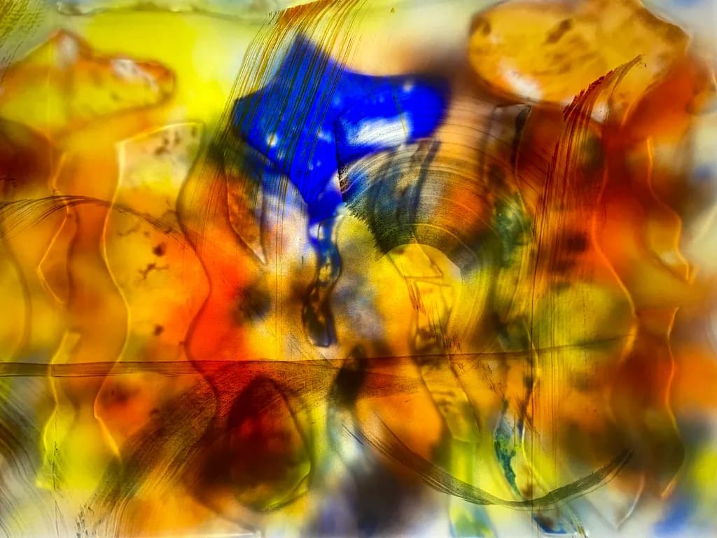 Colorful Fluidity
