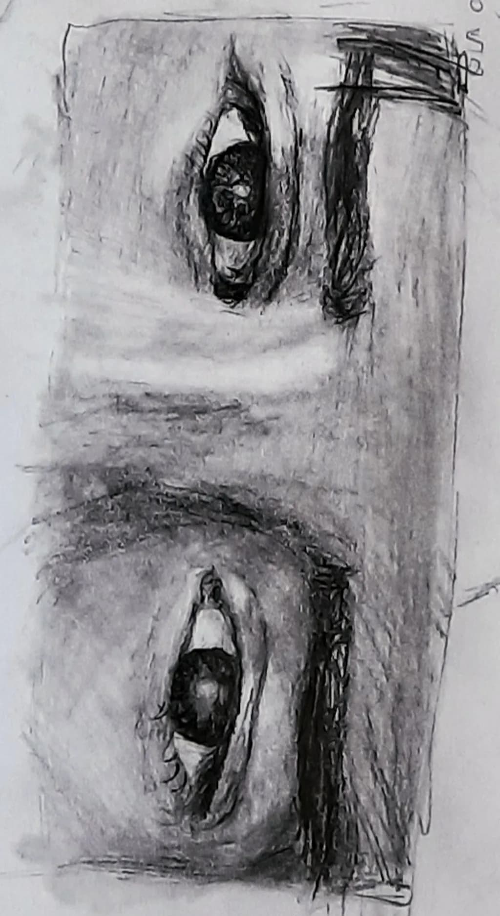 Dual Gazes