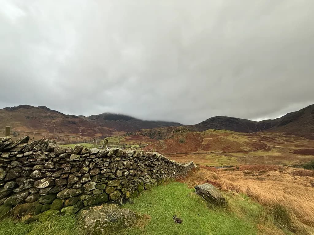 Misty Highlands