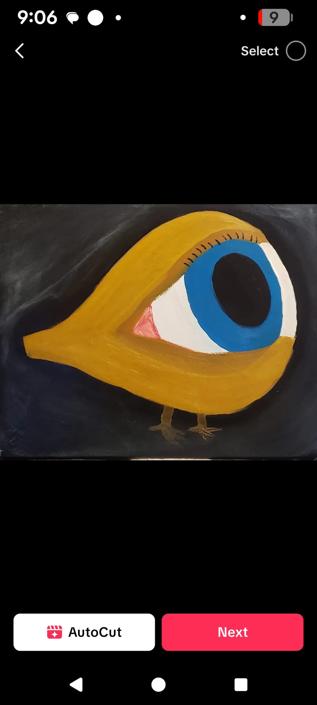 Eye of Curiosity
