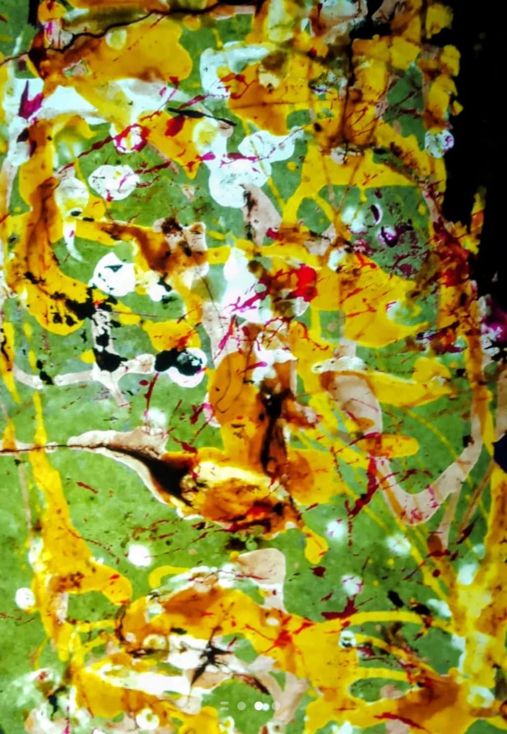 Autumn Forest Canvas