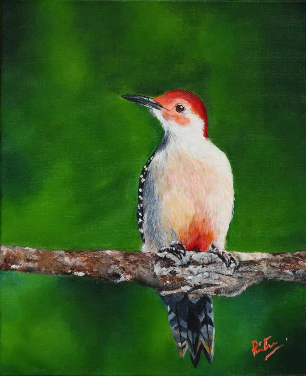Woodpecker Perch