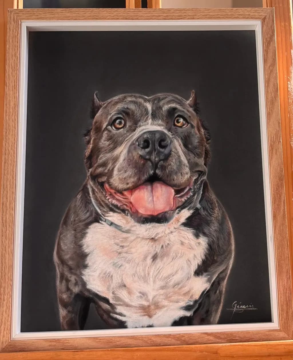 Joyful Canine