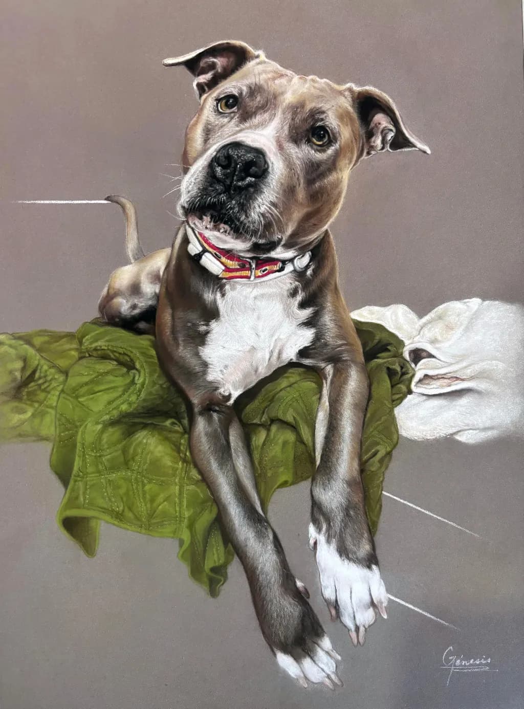 Curious Canine Portrait