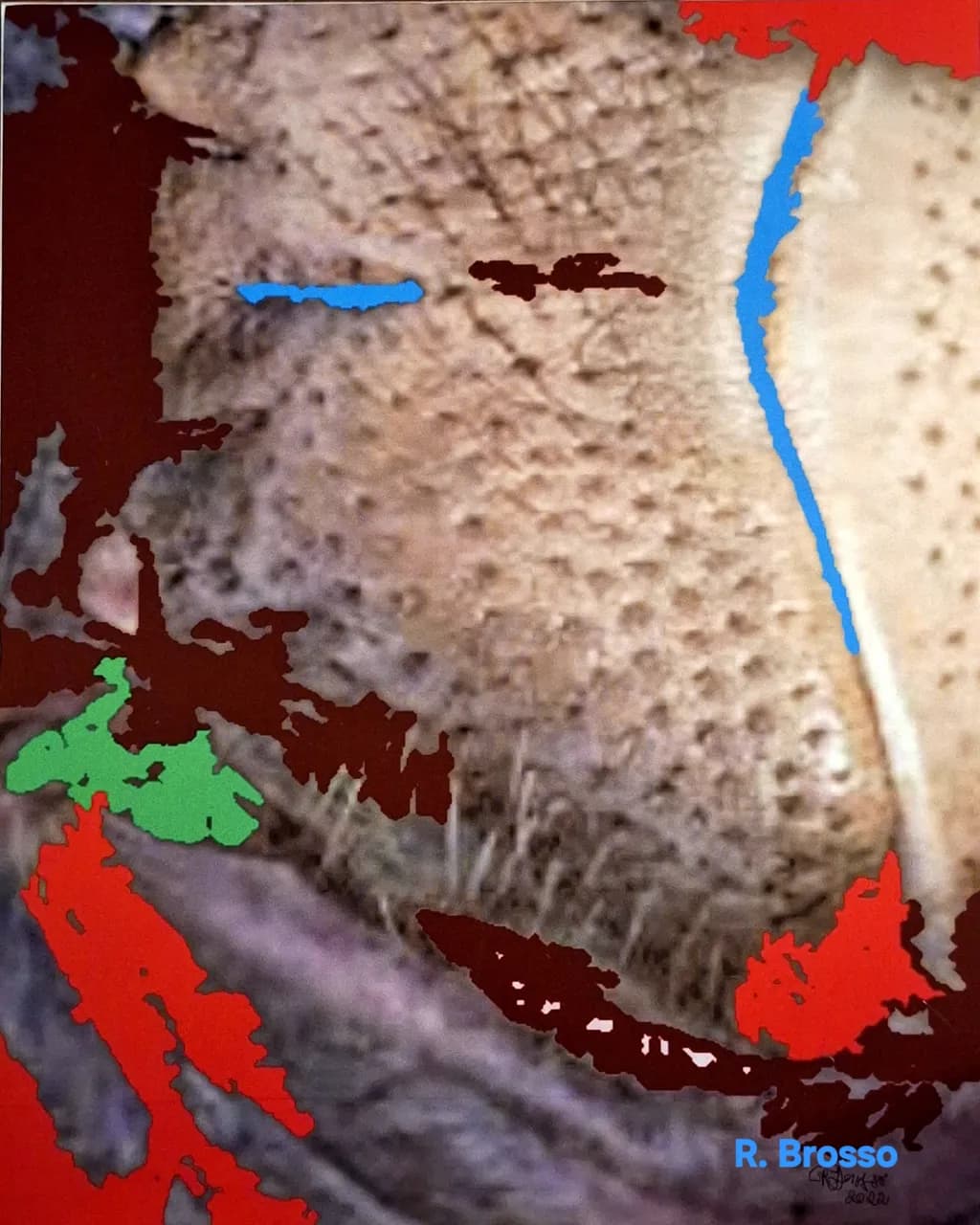 Fragmented Profile