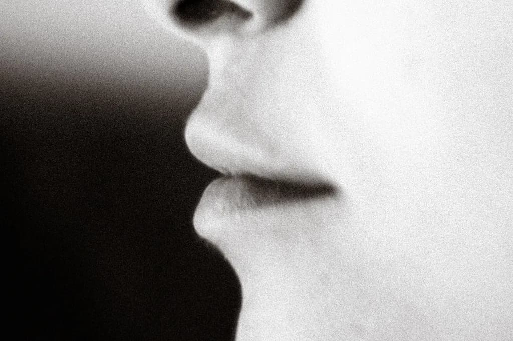 Silent Contours