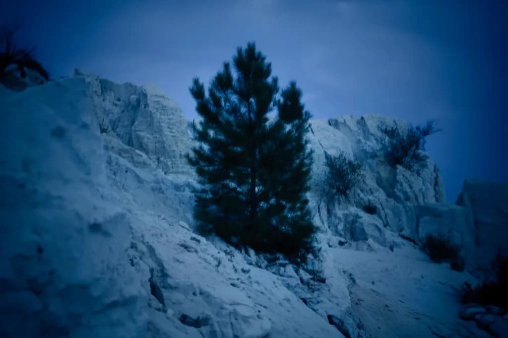 Between Presence and Silence