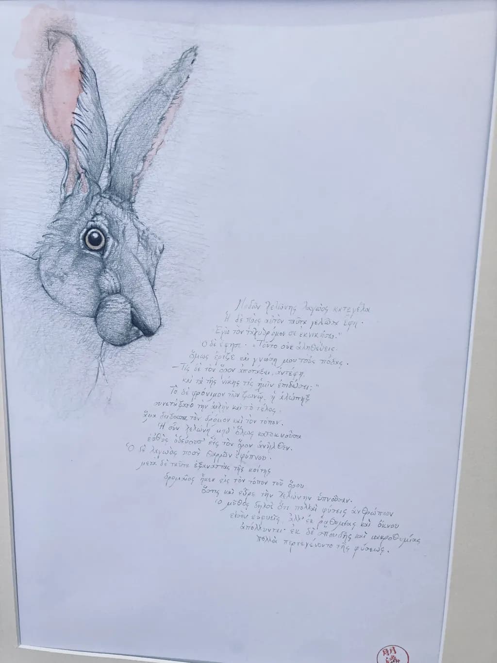 Rabbit Reverie