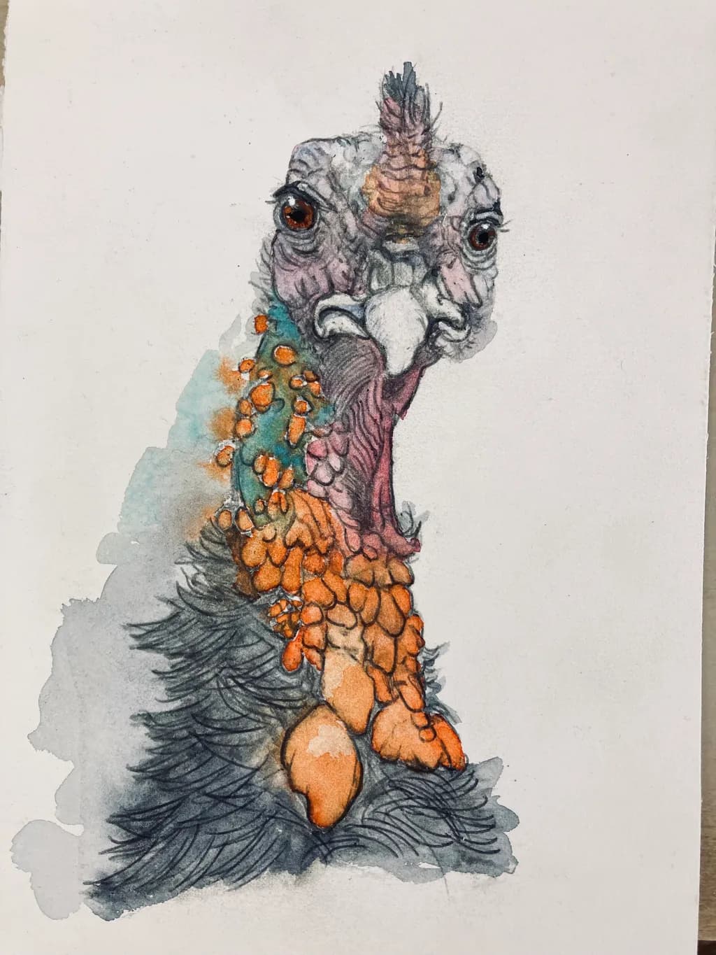 Colorful Turkey Portrait