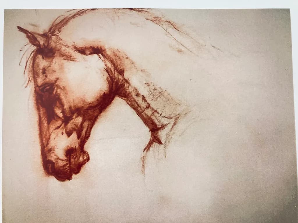 Equine Profile