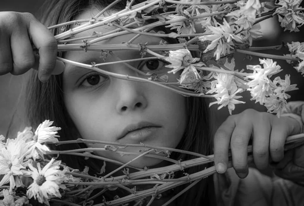 Framed Innocence
