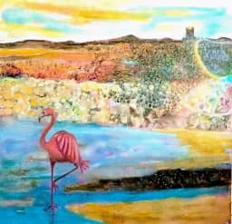 Flamingo Reflections