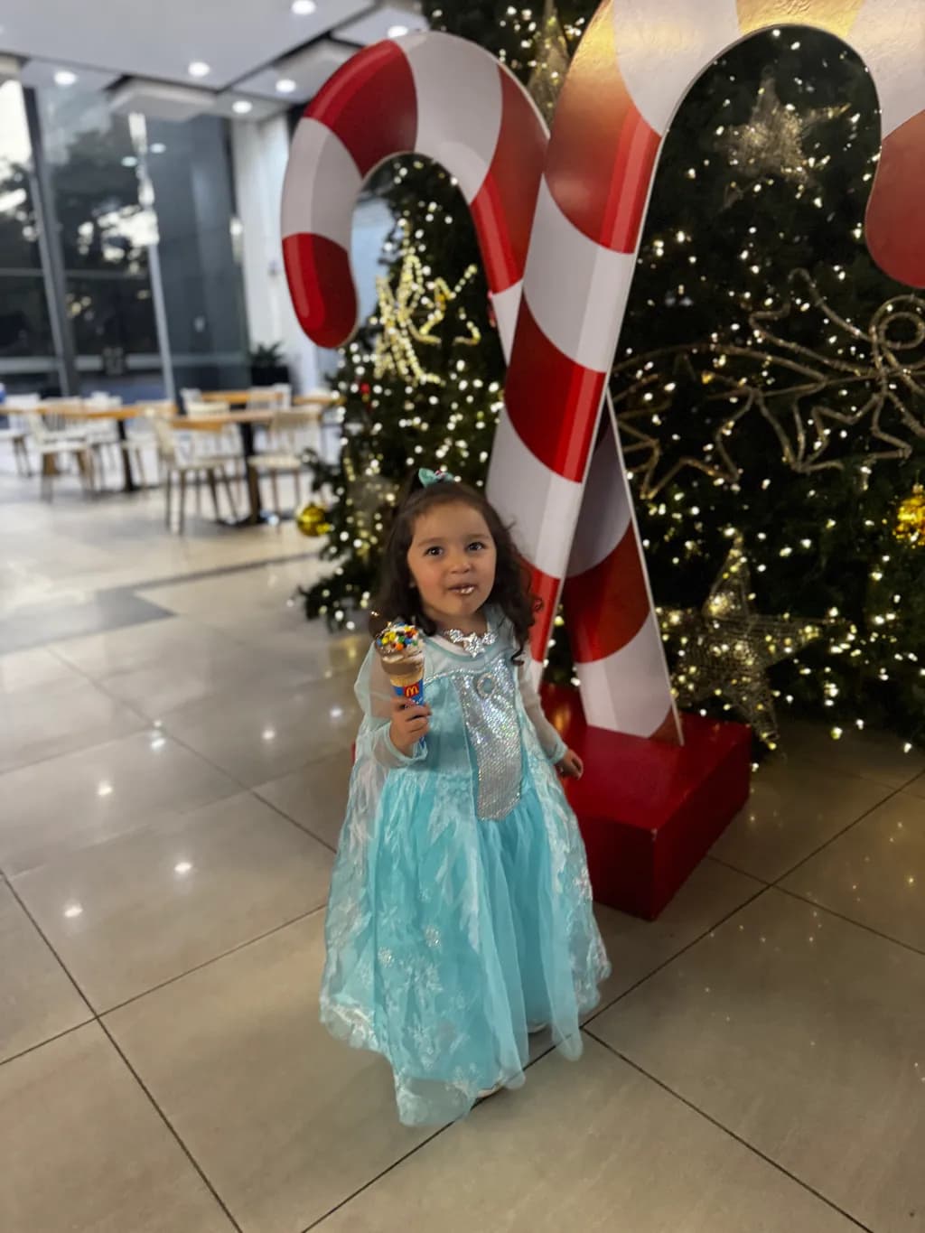 Winter Wonderland Joy