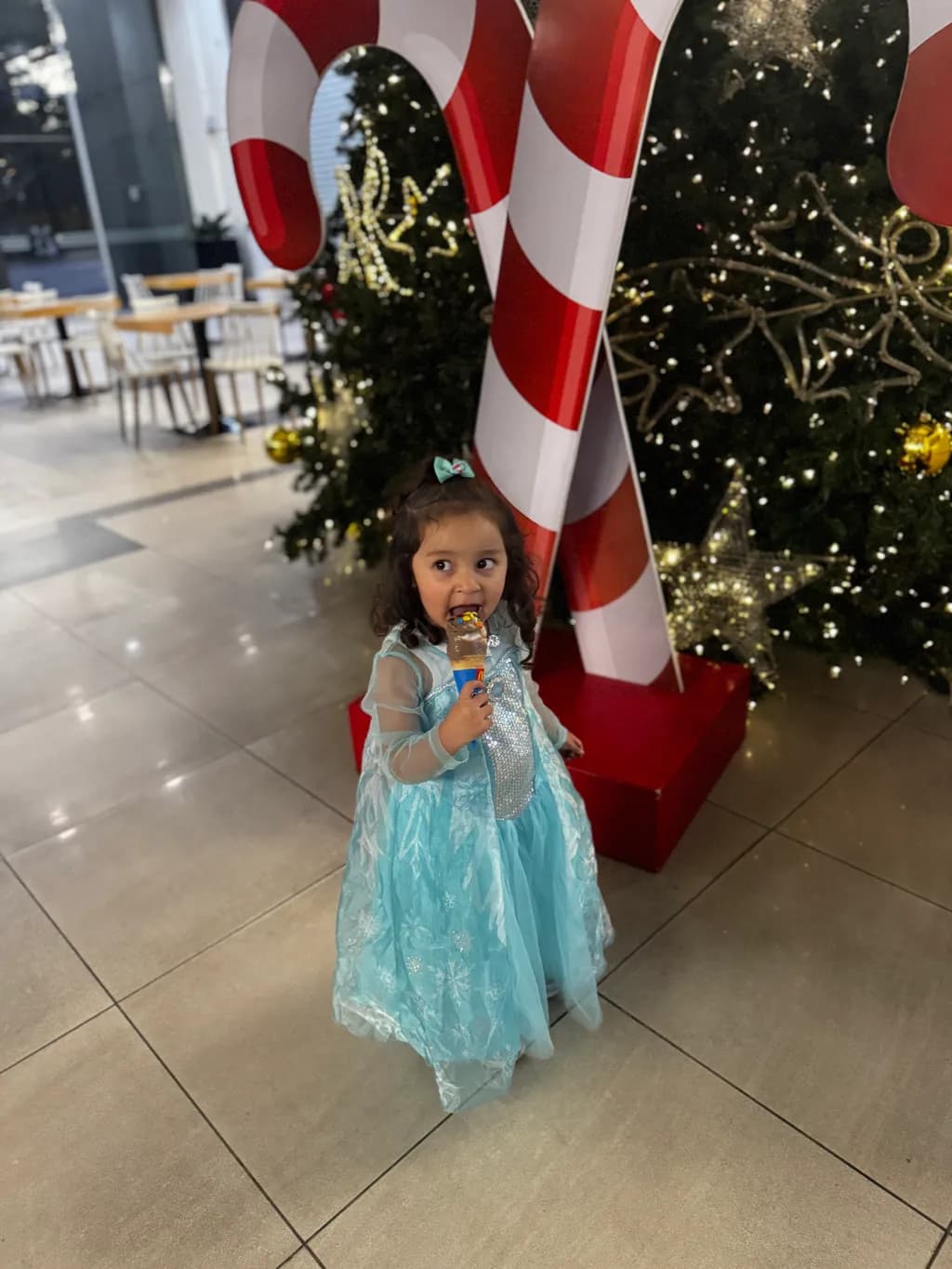 Winter Celebration