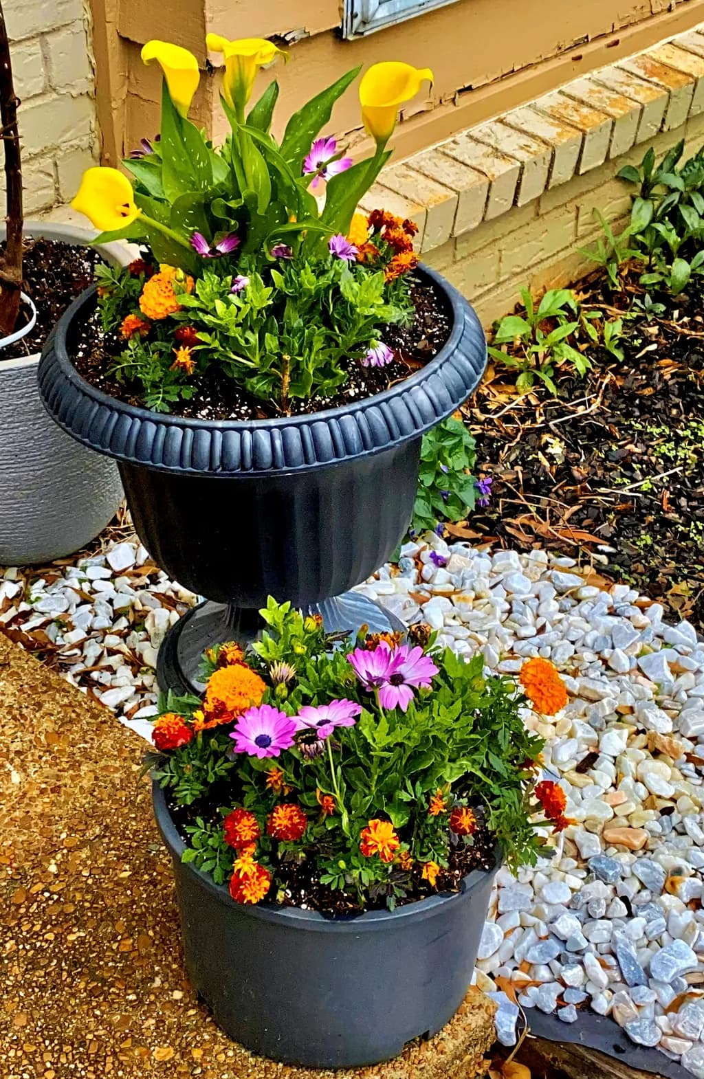 Front Door Blooms