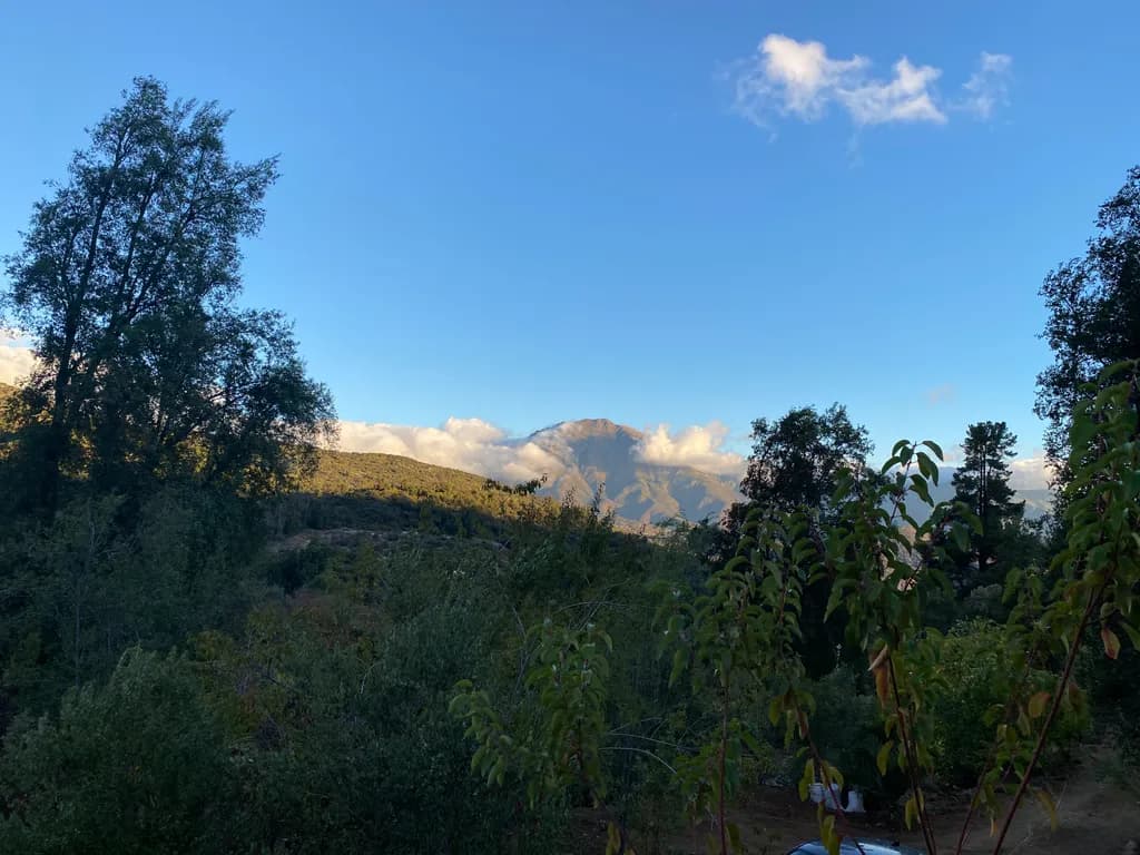 Mountain Serenity