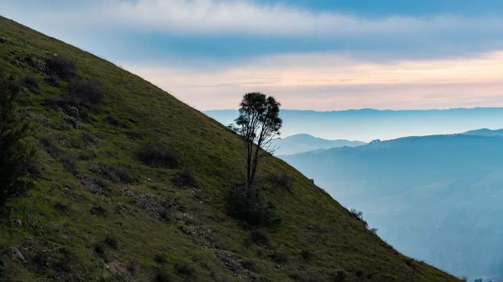 Solitary Summit