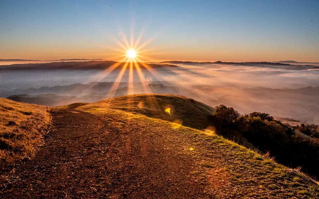 Golden Dusk