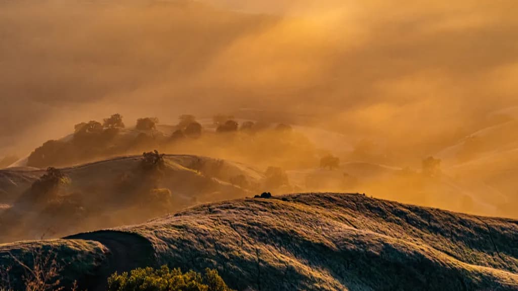 Misty Sunset Hills