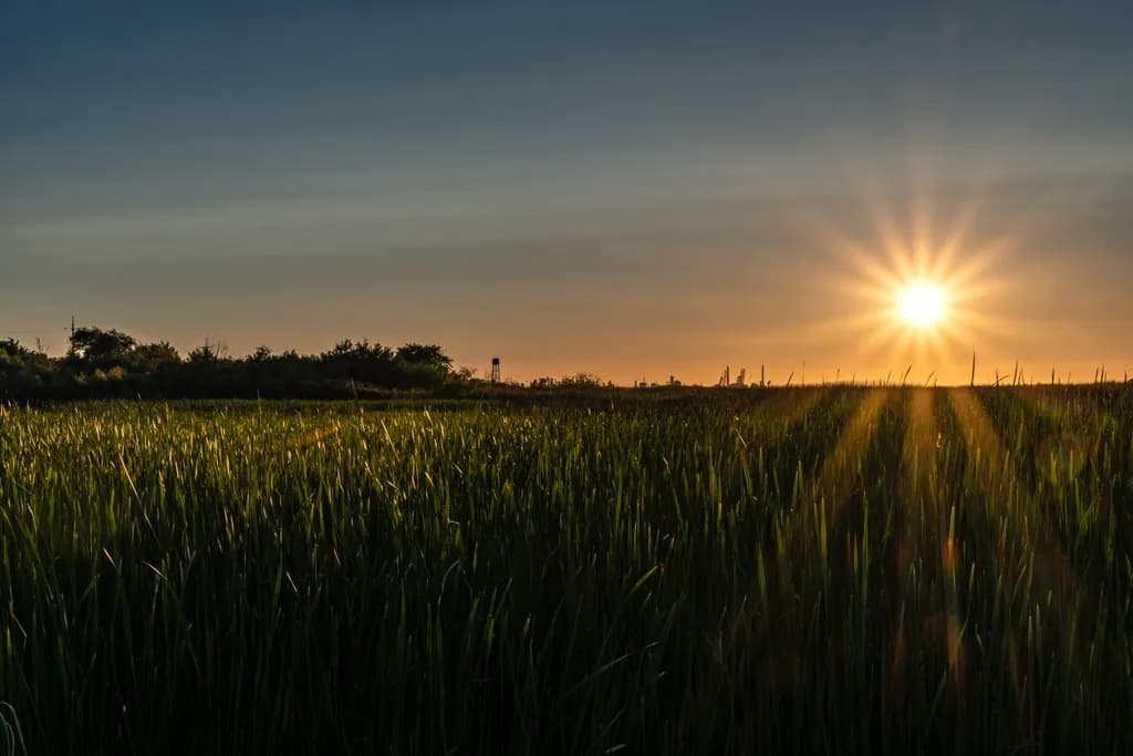 Sunrise Over Fields