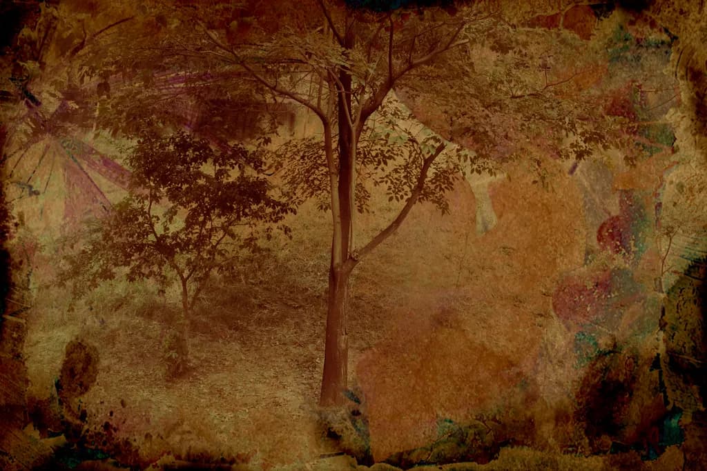 Faded Grove