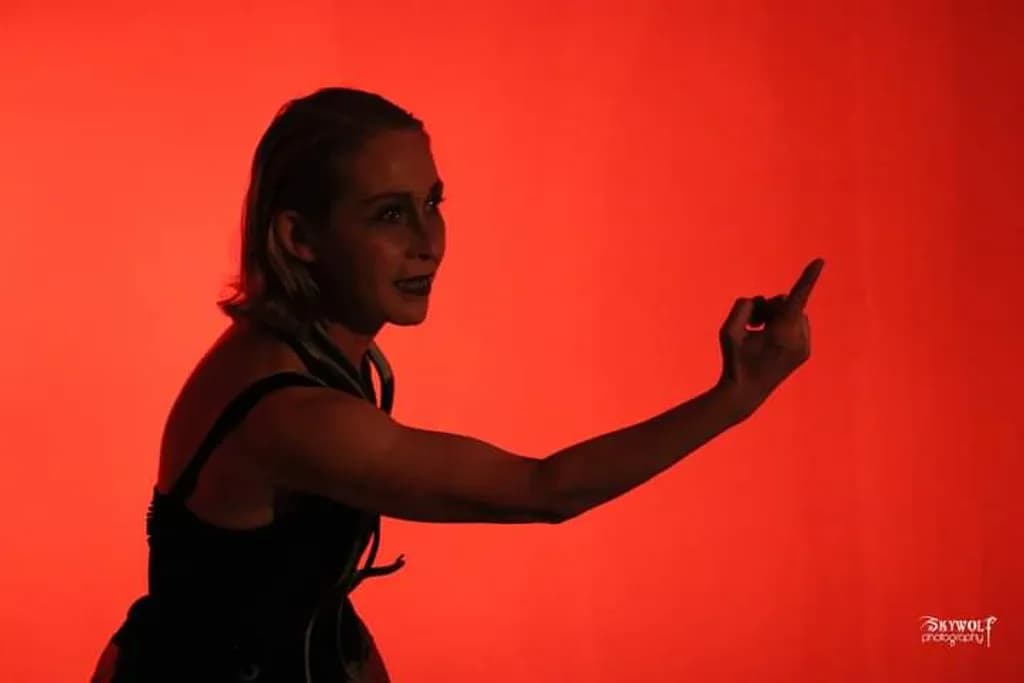 Defiant Silhouette