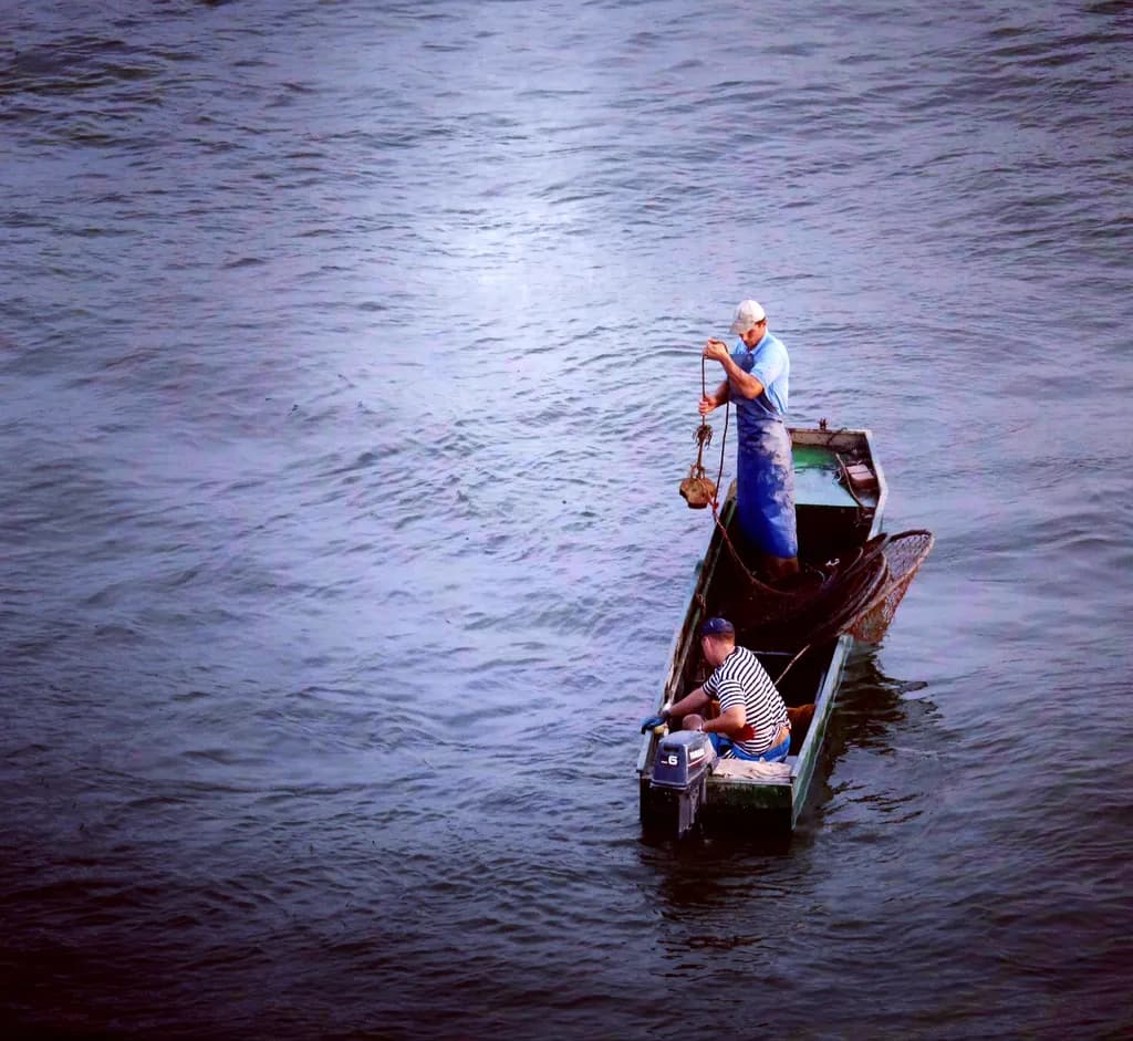 Silent Catch