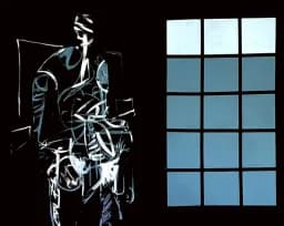 Shadowed Contemplation