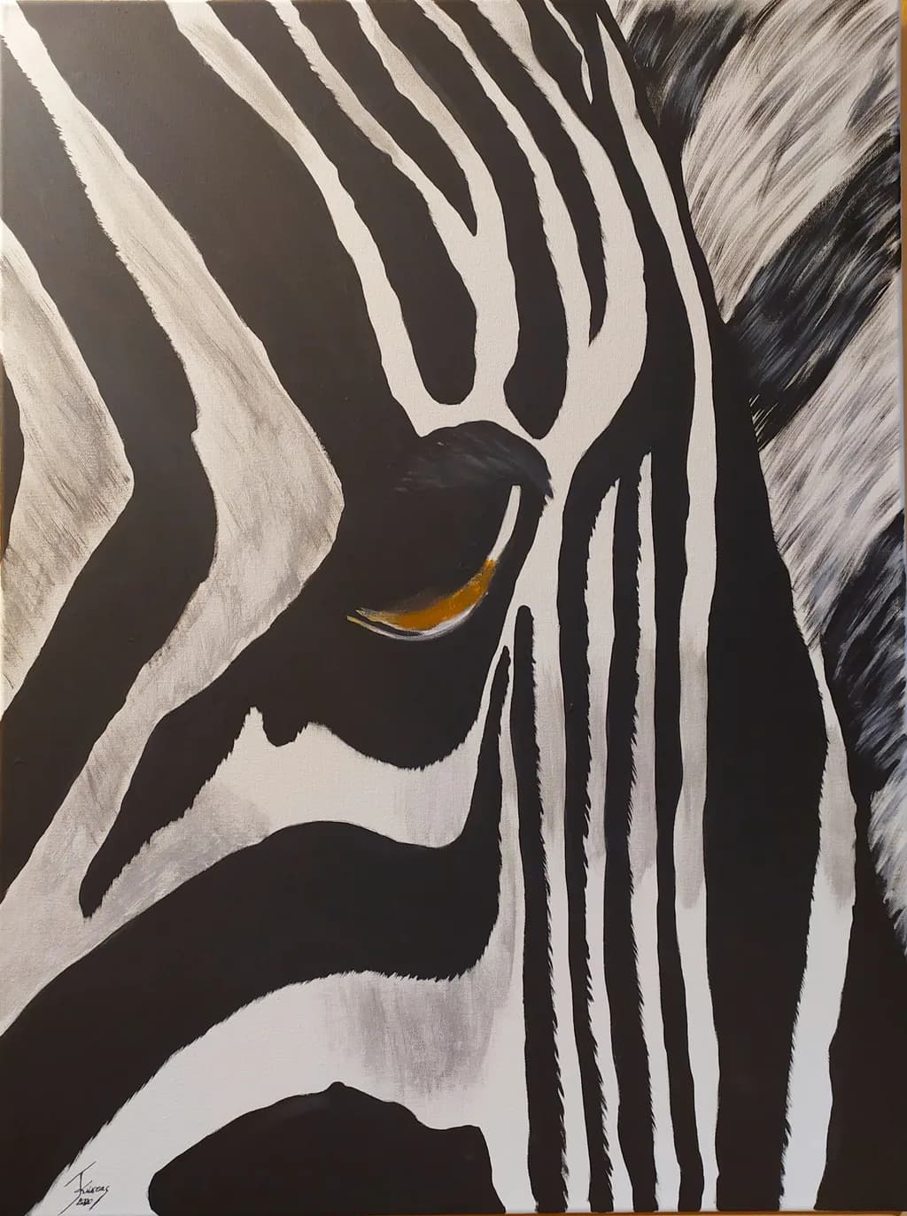Zebra's Gaze