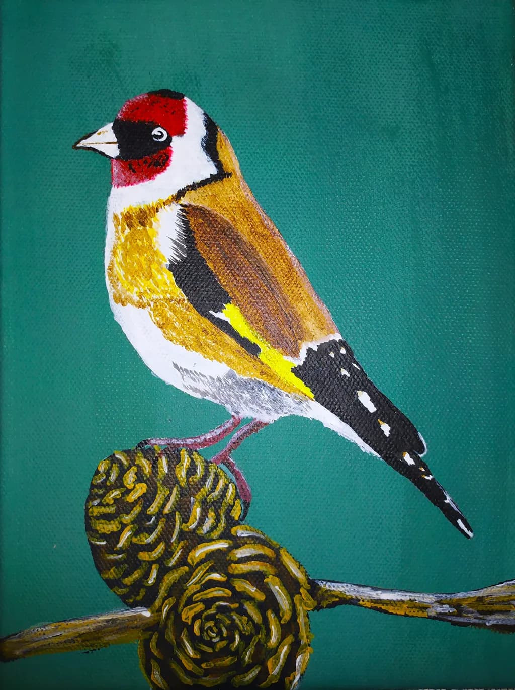 Goldfinch on Pinecone