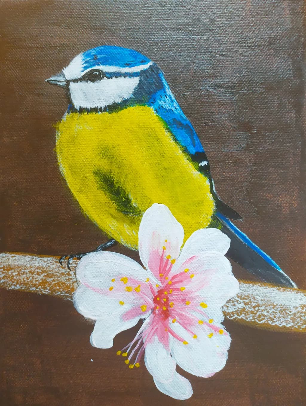 Blue Tit Blossom