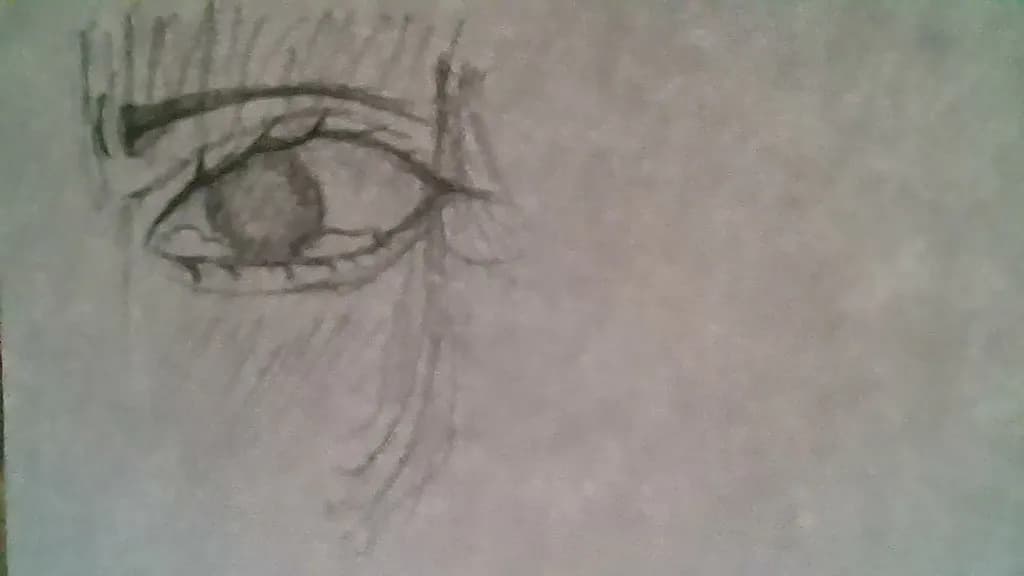Gaze