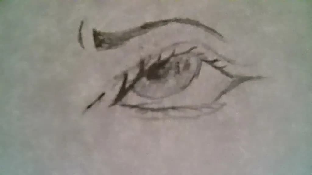Eye Study