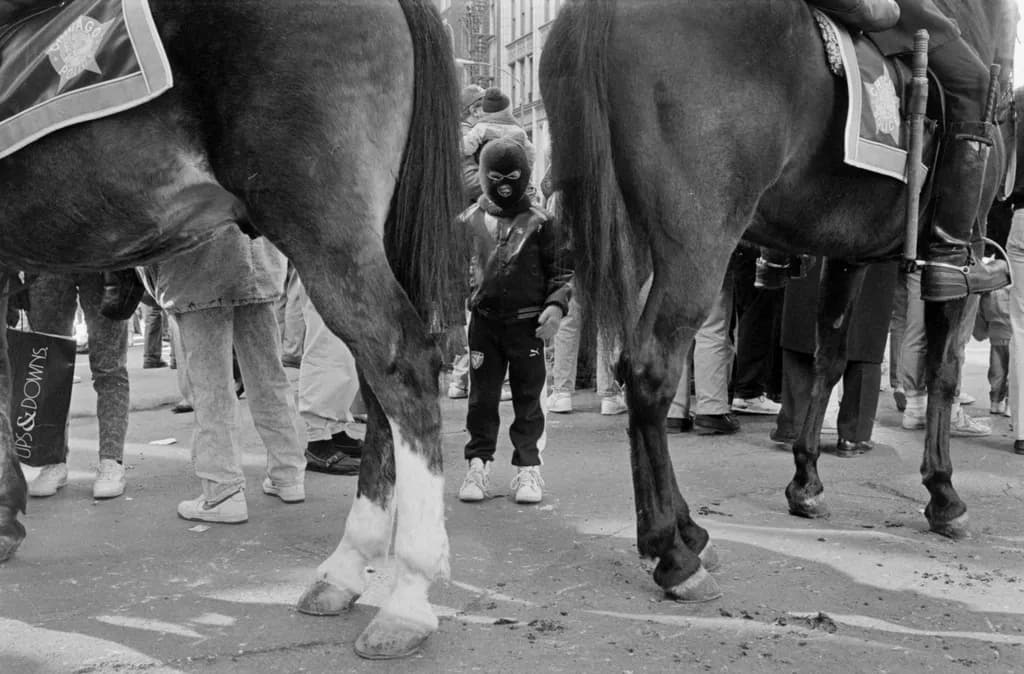 Between the Horses