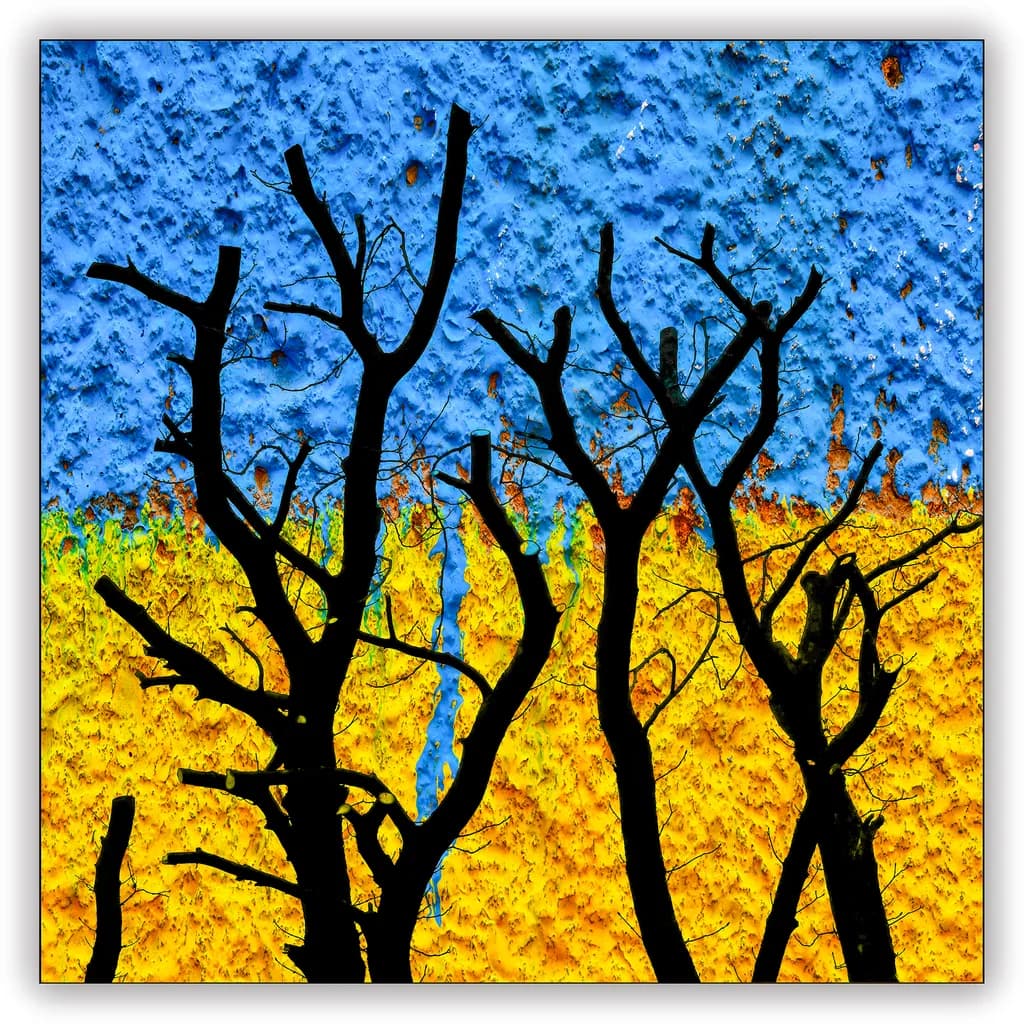 Reflections on Good and Evil