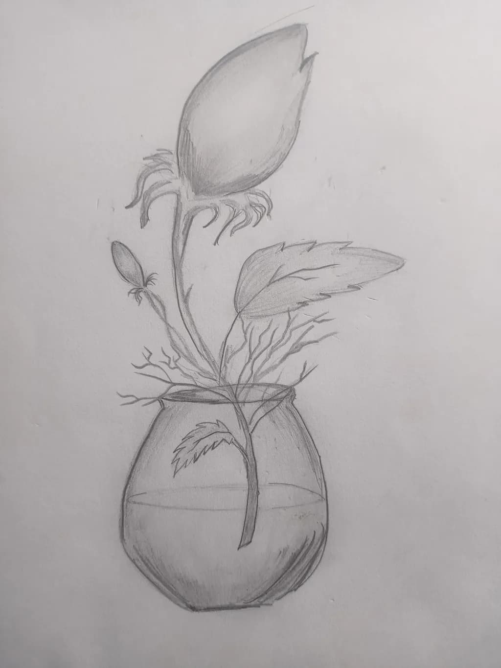 Budding Elegance