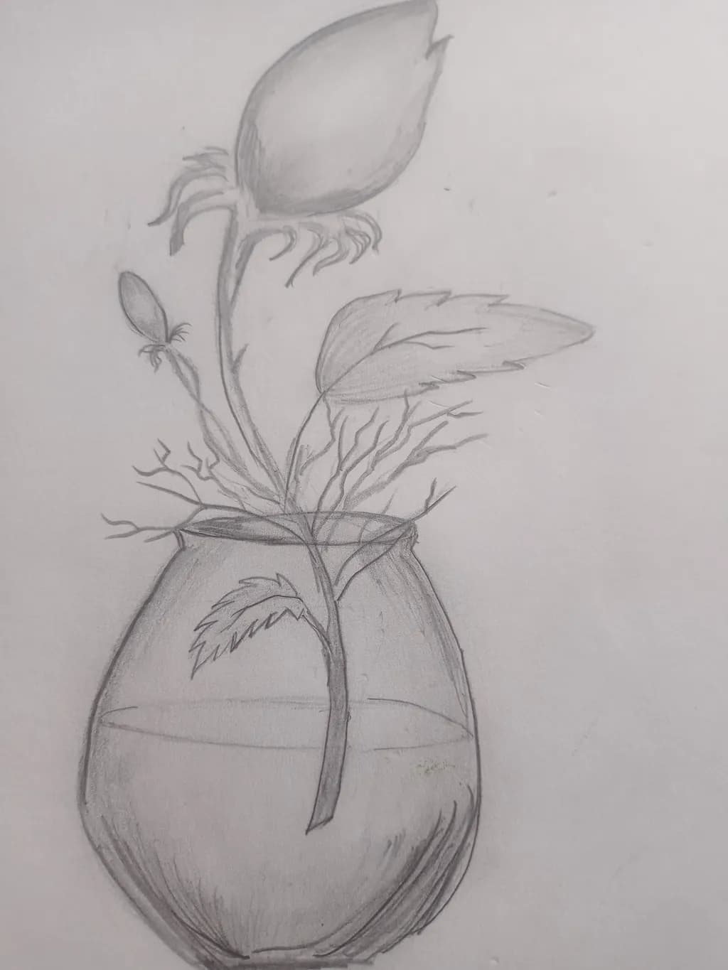 Floral Elegance