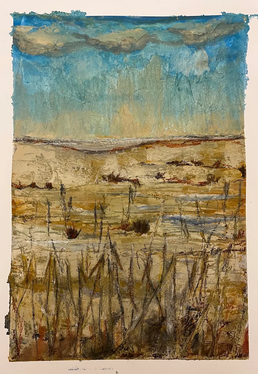 Desert Horizon